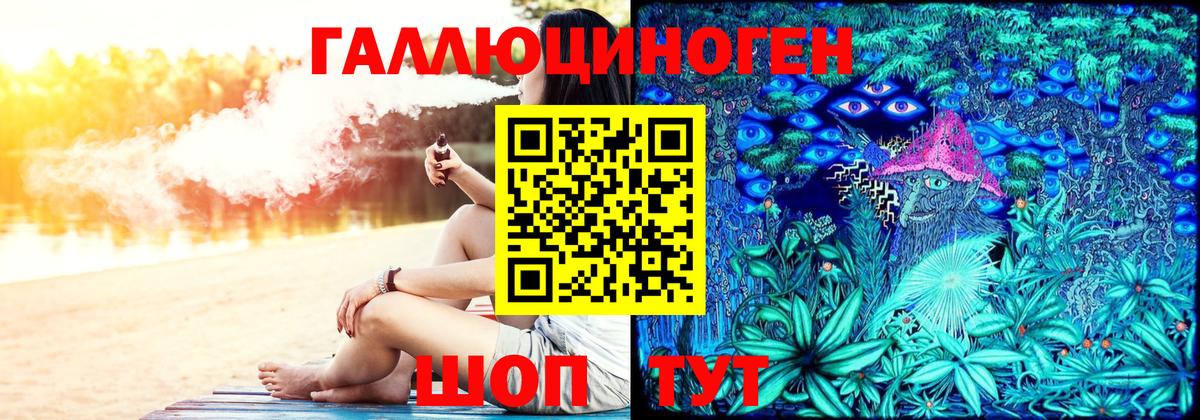 Псилоцибиновые грибы Psilocybe Белгород